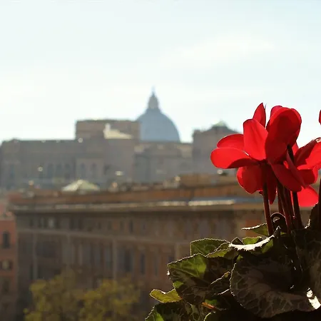 Hop On Top * Roma